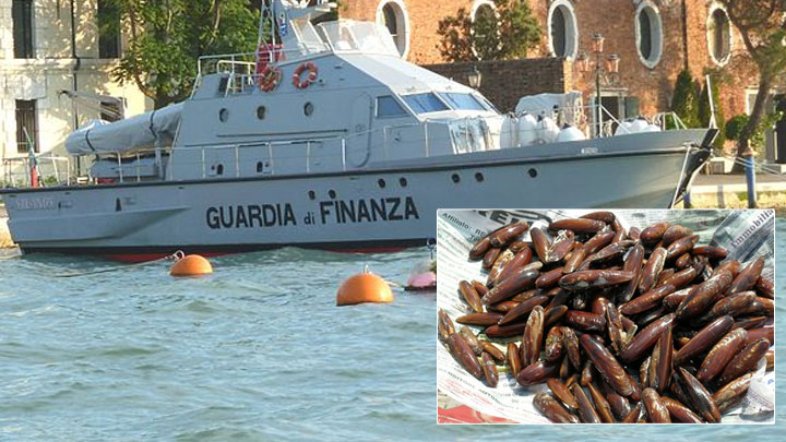 Salerno pesca 7 KG di datteri denunciato dalla Guardia di Finanza per deturpamento naturale